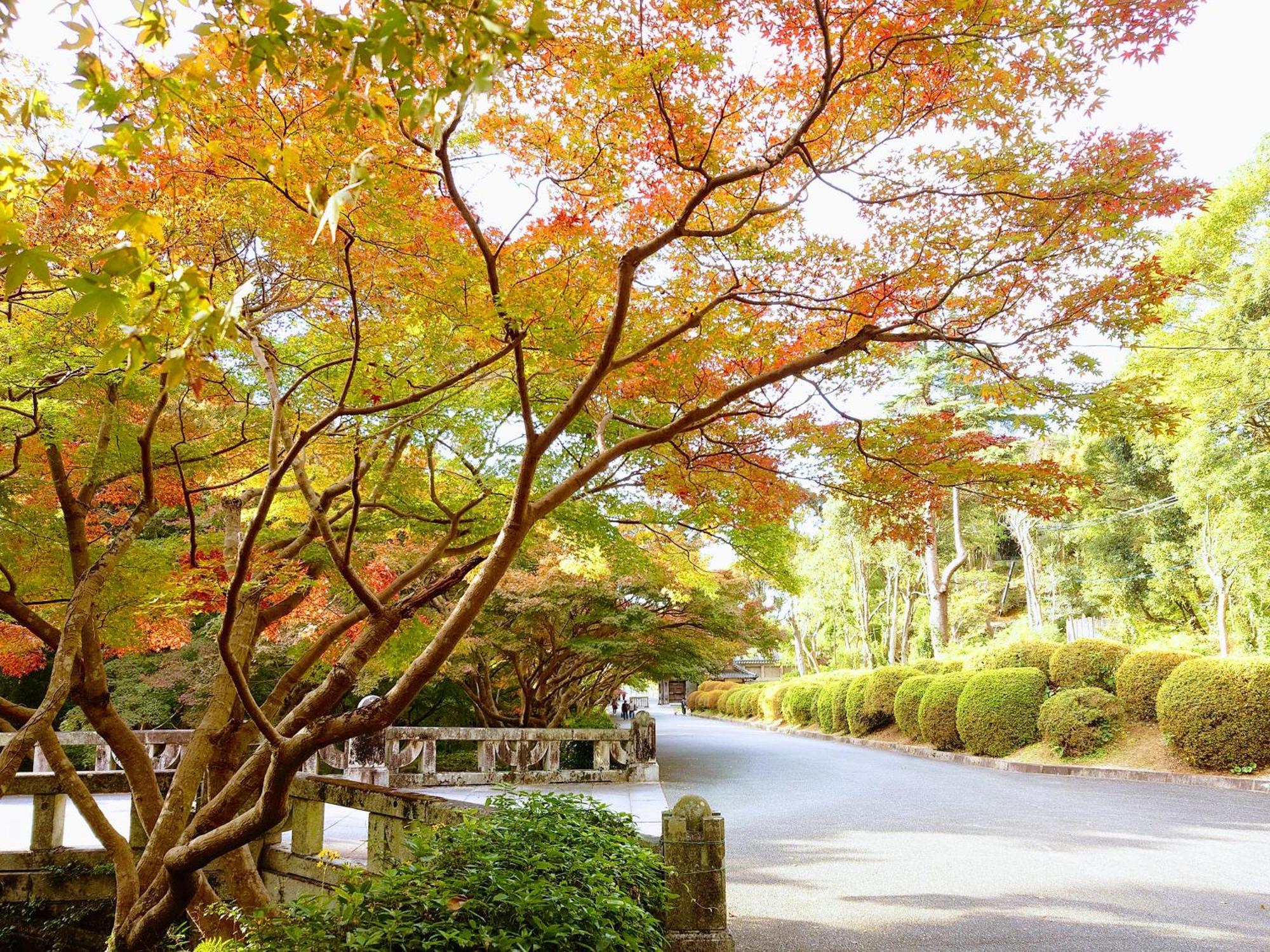 Apa Hotel Yamaguchi Hofu Luaran gambar