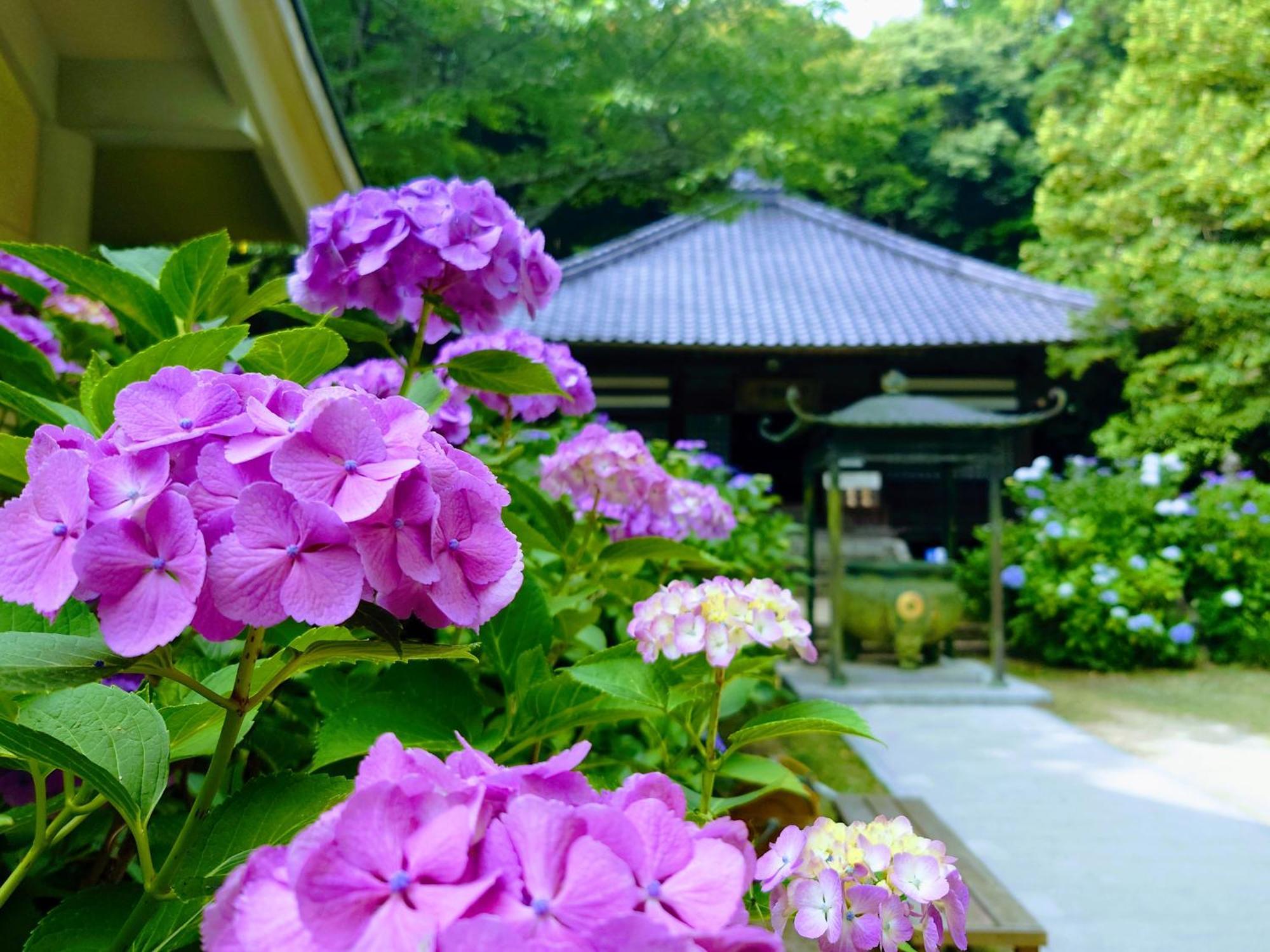 Apa Hotel Yamaguchi Hofu Luaran gambar