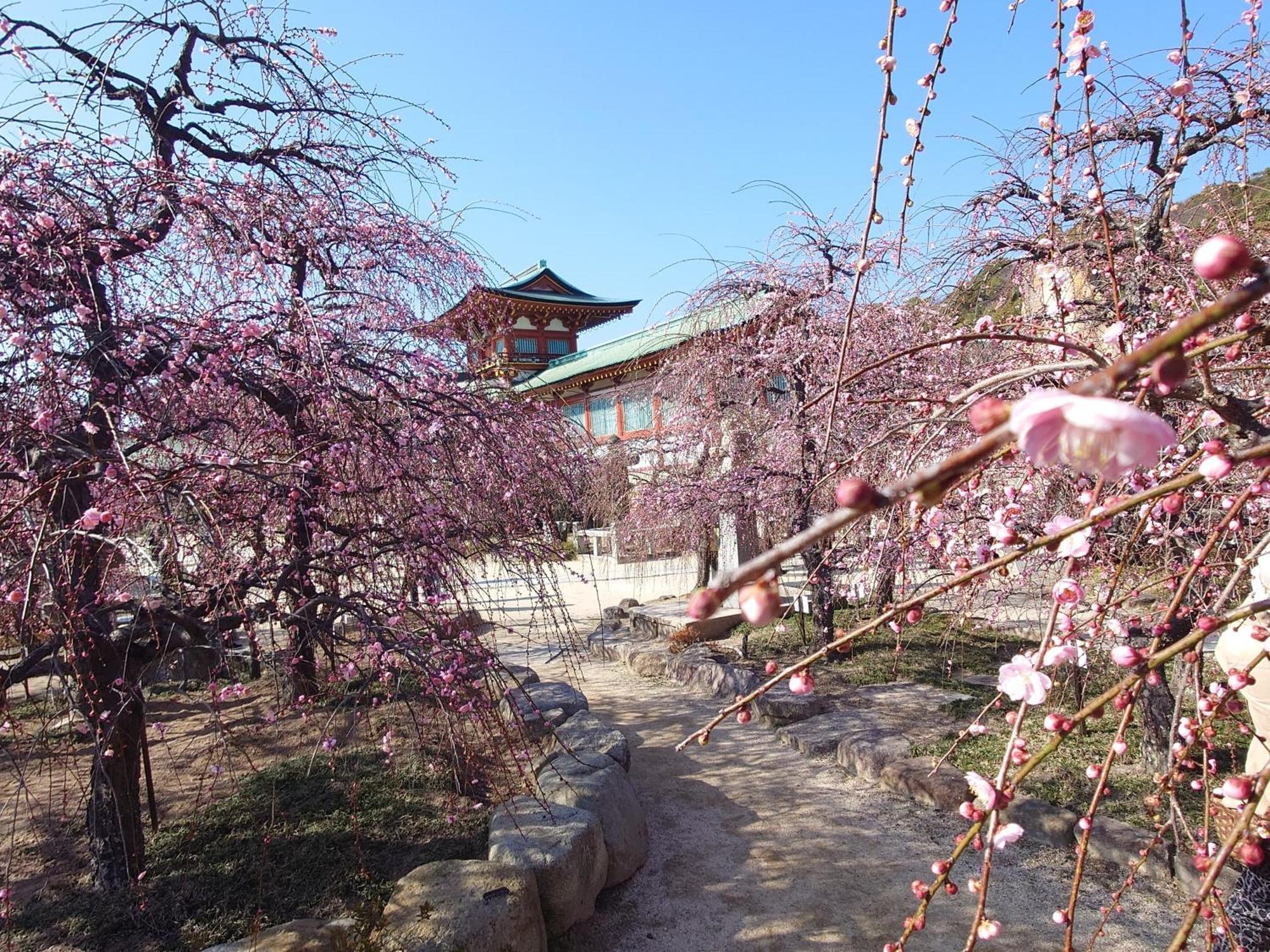 Apa Hotel Yamaguchi Hofu Luaran gambar